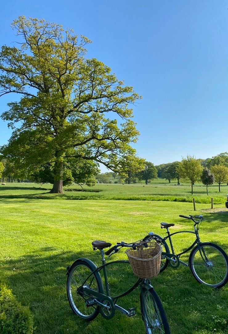 velo-chateau-chantilly-sortie-sportive-amusante.jpg